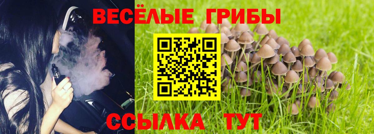 Галлюциногенные грибы Cubensis  Галлюциногенные грибы Psilocybine cubensis  где купить наркотик  Вход с VPN  Моршанск 